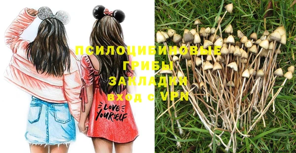 марихуана Абаза